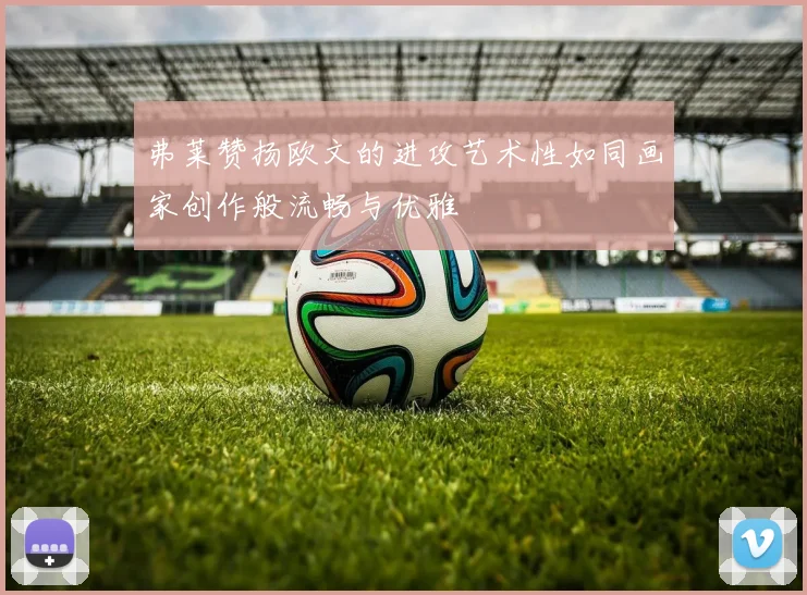 弗莱赞扬欧文的进攻艺术性如同画家创作般流畅与优雅