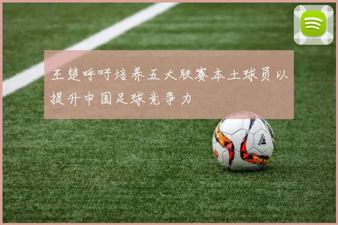 王楚呼吁培养五大联赛本土球员以提升中国足球竞争力